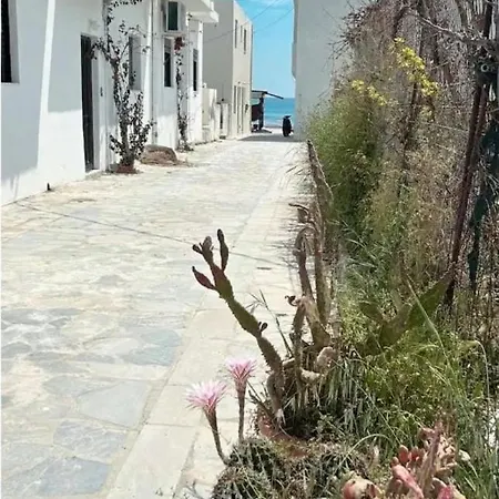 Migianthea House *